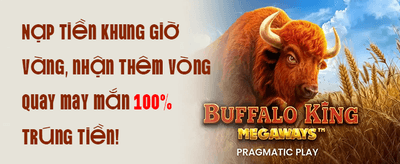Thưởng Chào Mừng Tân Thủ 100% promotional offer