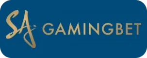 Hệ Thống Bảo Mật Logo